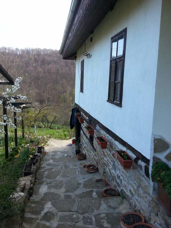 Къща За Гости Ножери 트리아브나 외부 사진